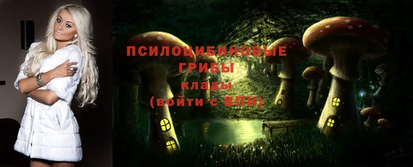 мет Арсеньев
